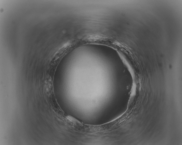 X0000068821349200605121305