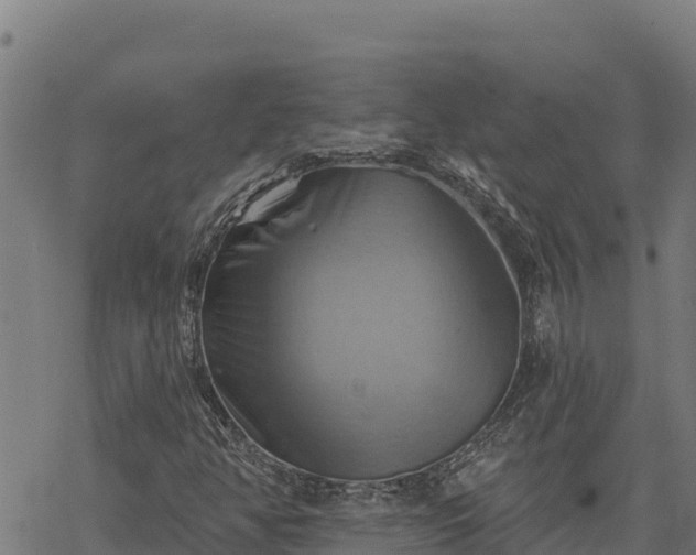 X0000068821350200605121305