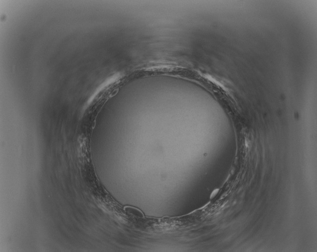 X0000068821351200605121305