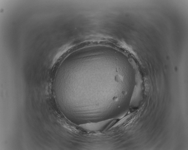 X0000068821352200605121305