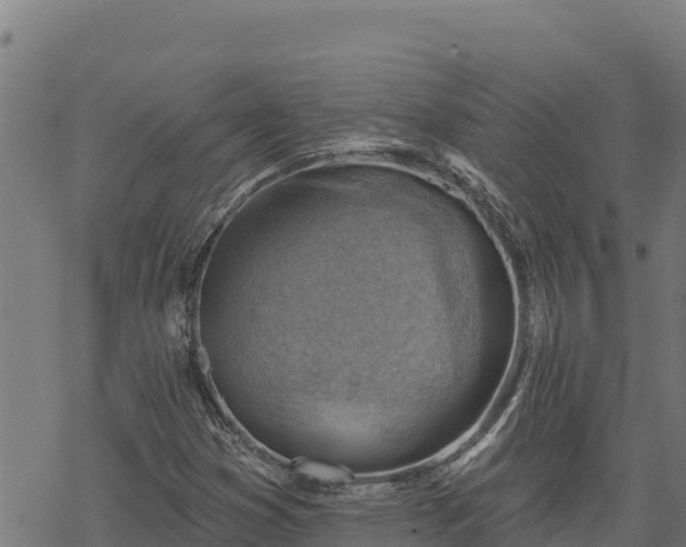 X0000068821353200605121305