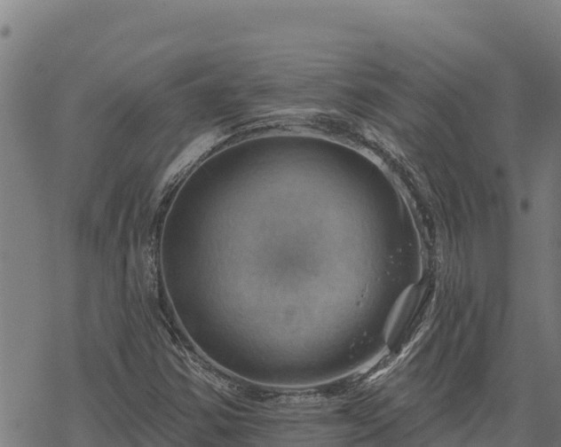 X0000068821354200605121305