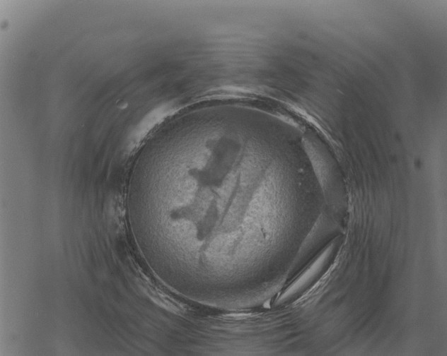 X0000068821355200605121305