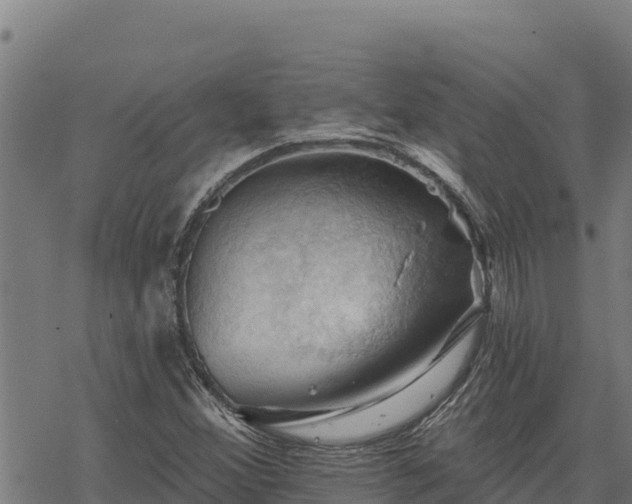 X0000068821356200605121305