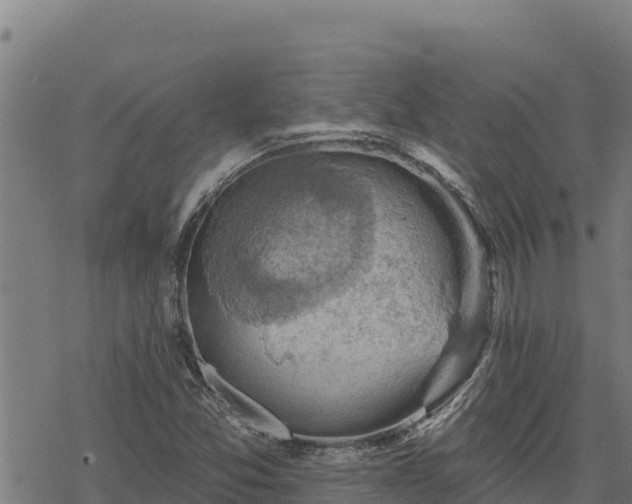 X0000068821357200605121305