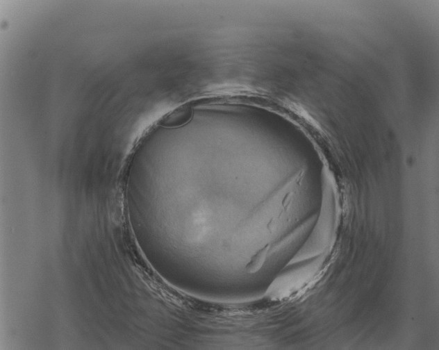 X0000068821358200605121305