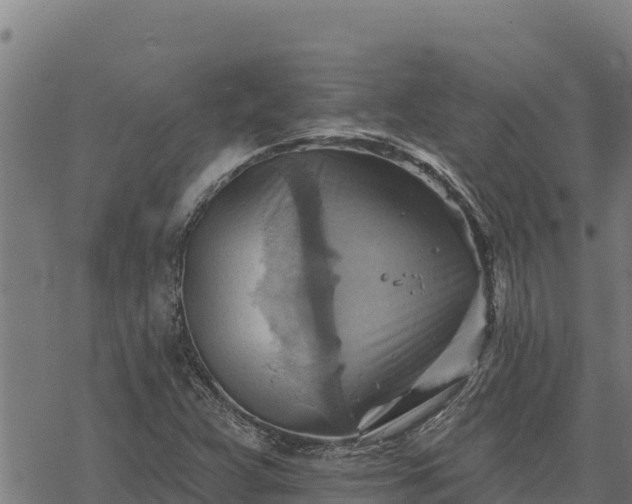 X0000068821359200605121305