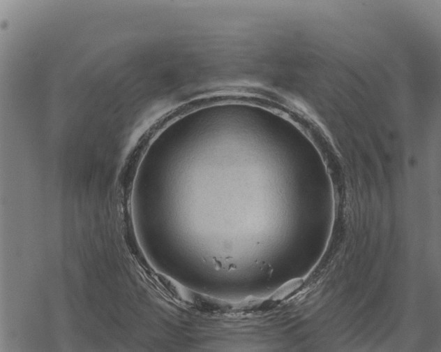 X0000068821360200605121305