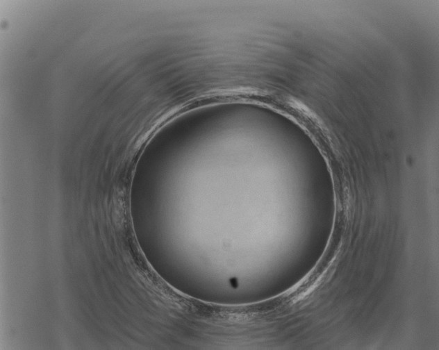 X0000068821361200605121305