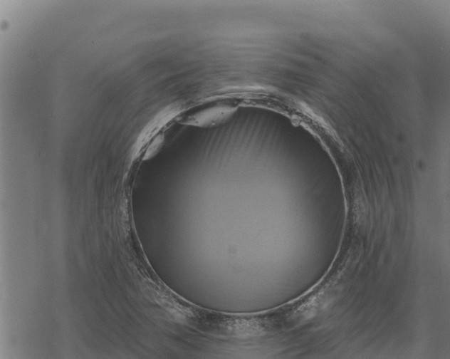 X0000068821362200605121305