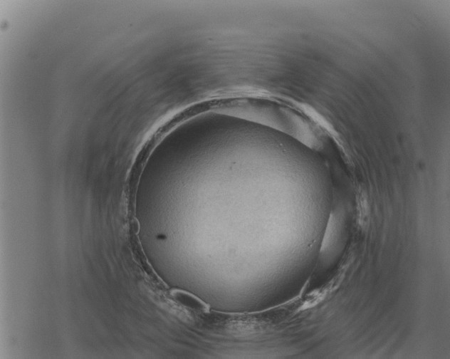 X0000068821364200605121305