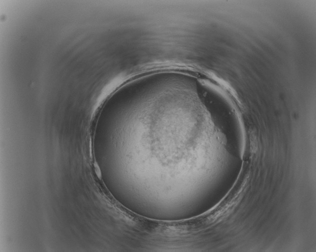 X0000068821365200605121305