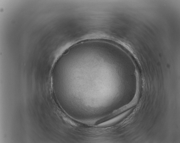 X0000068821366200605121305