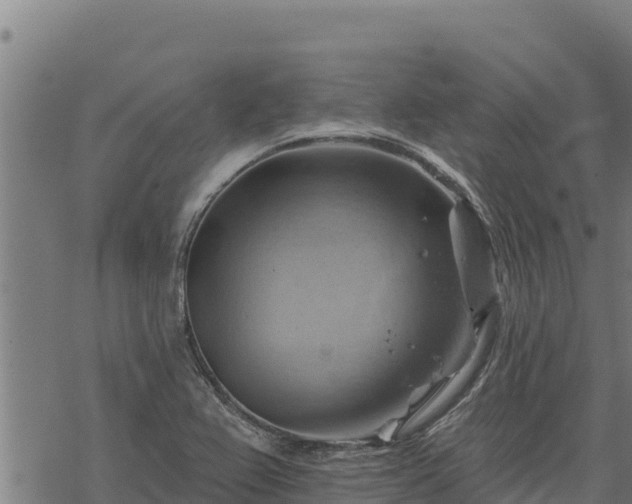 X0000068821367200605121305