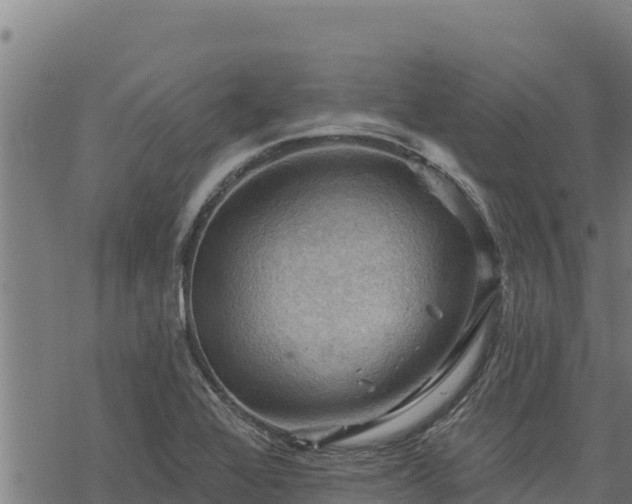 X0000068821368200605121305