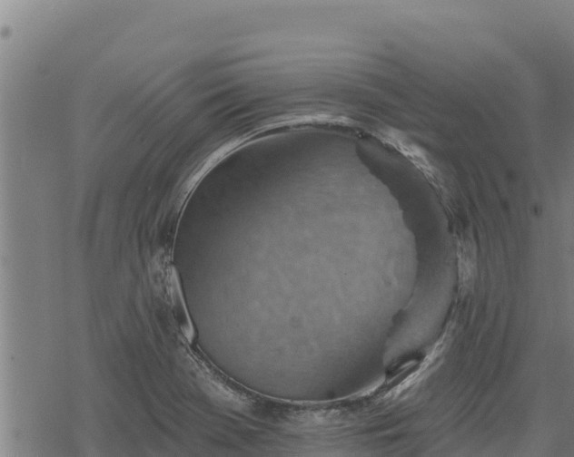 X0000068821369200605121305