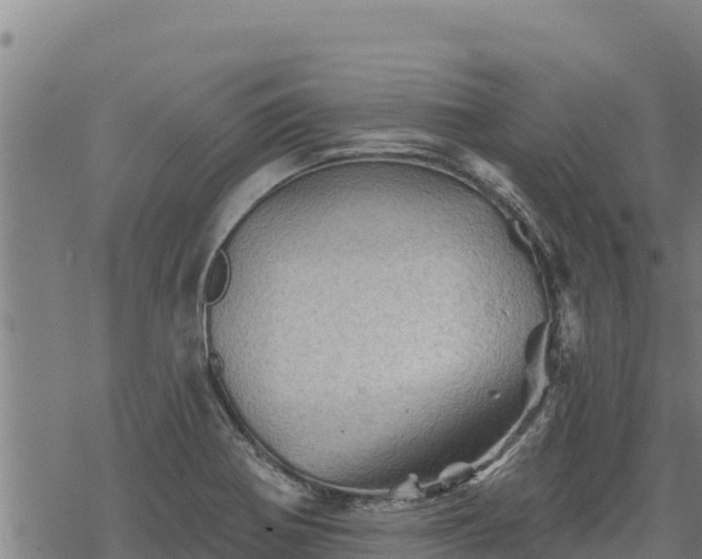 X0000068821370200605121305