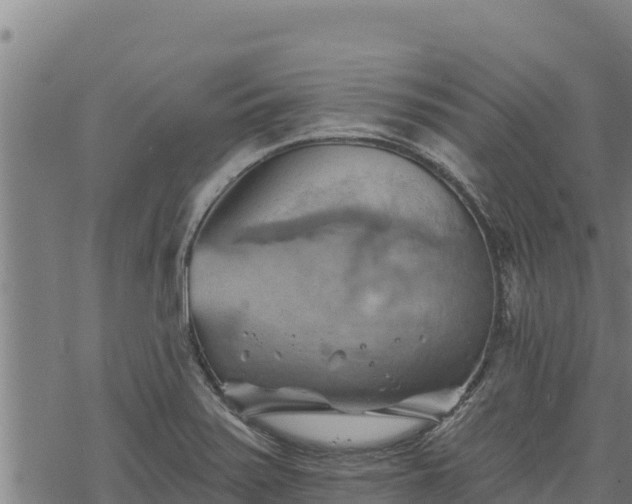 X0000068821371200605121305