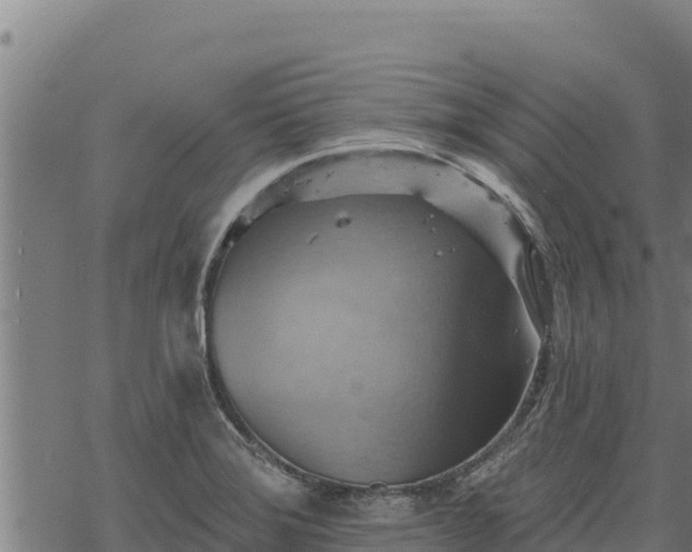 X0000068821372200605121305