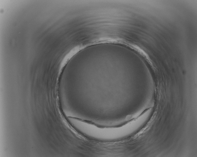 X0000068821373200605121305