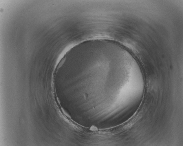 X0000068821374200605121305