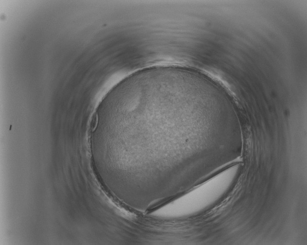 X0000068821375200605121305