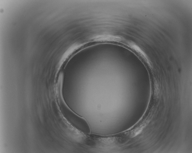 X0000068821376200605121305