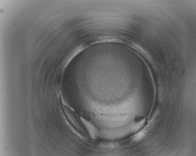 X0000068821377200605121305