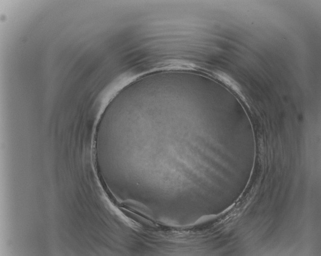 X0000068821379200605121305