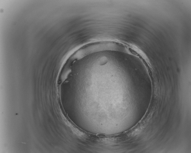 X0000068821380200605121305