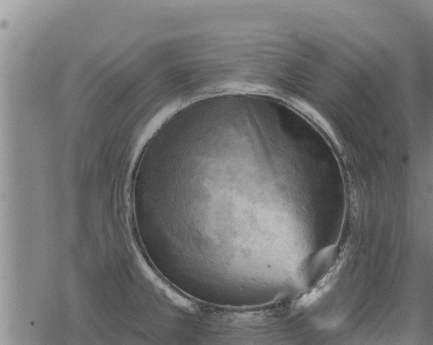 X0000068821381200605121305