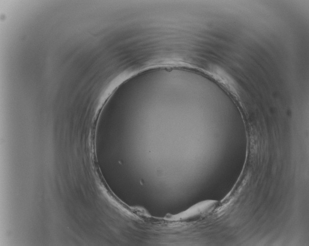 X0000068821382200605121305