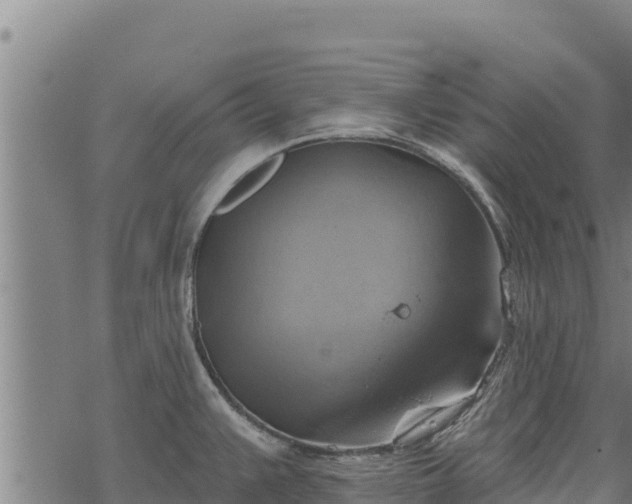 X0000068821383200605121305