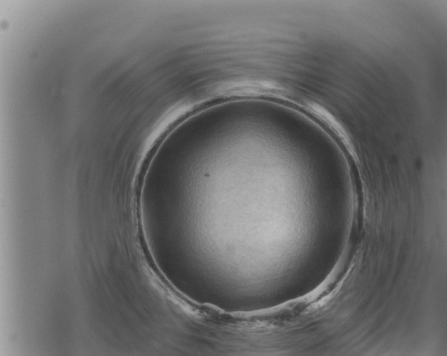 X0000068821384200605121305