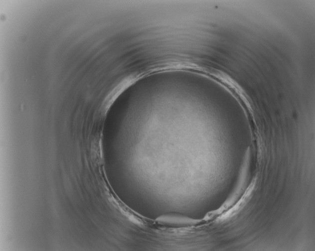 X0000068821385200605121305