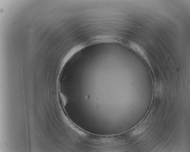 X0000068821386200605121305