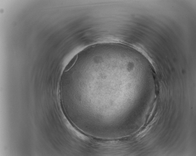 X0000068821387200605121305