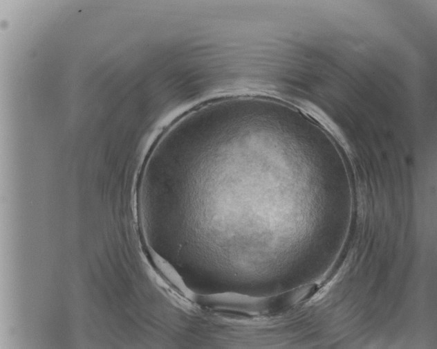 X0000068821388200605121305