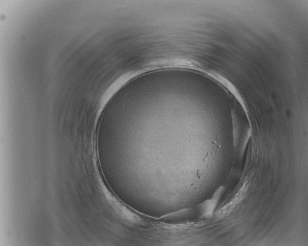 X0000068821389200605121305