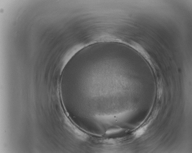 X0000068821390200605121305