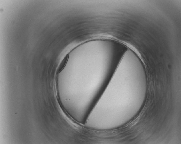 X0000068821391200605121305