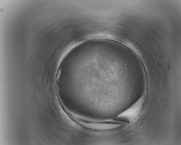 X0000068821392200605121305