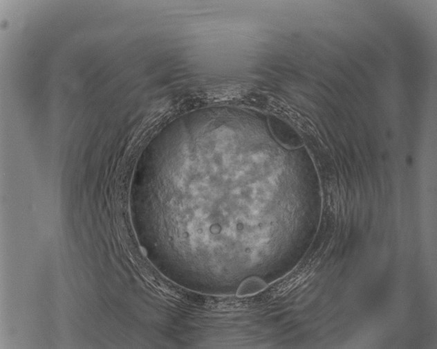 X0000068821393200605121304