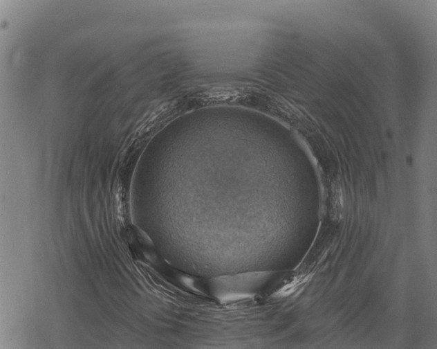 X0000068821394200605121304