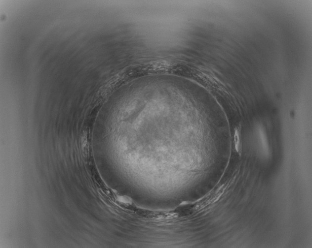 X0000068821395200605121304