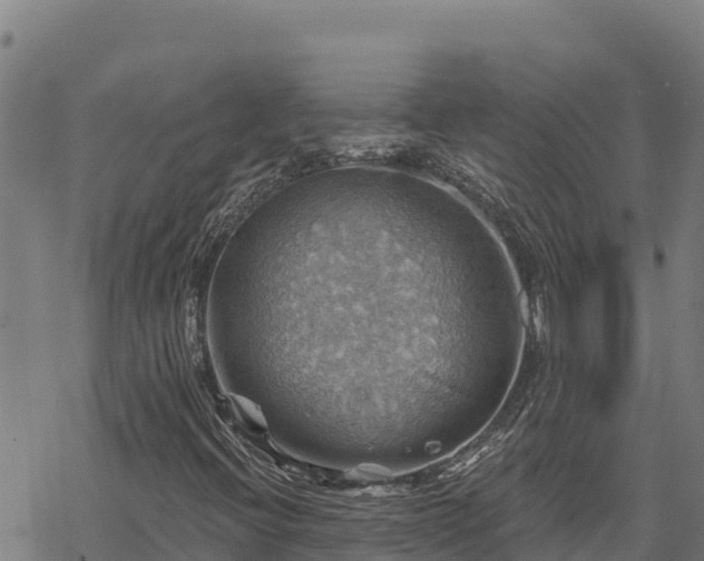 X0000068821396200605121304