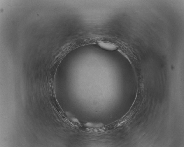 X0000068821397200605121304