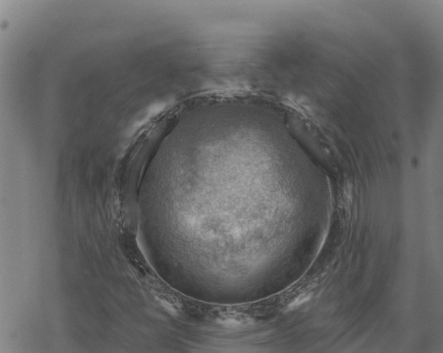 X0000068821398200605121304