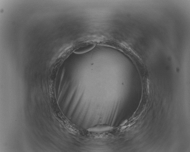 X0000068821399200605121304