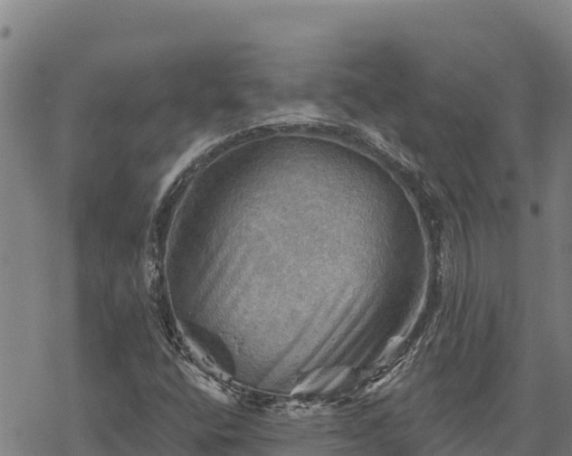 X0000068821400200605121304